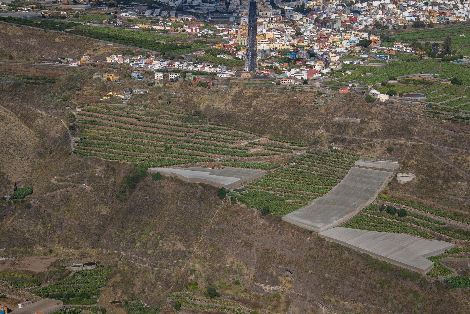 Paisaje de plataneras y bancales de piedra