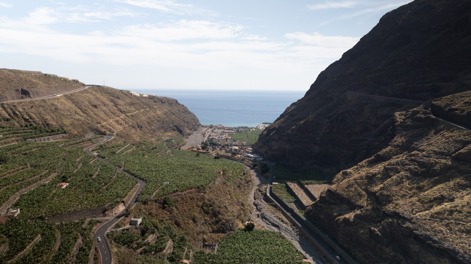 Vista panorámica de las terrazas plataneras